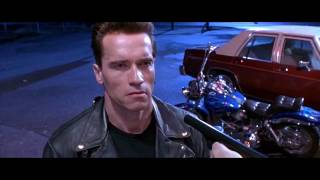 The Terminator - Fat Boy - Harley-Davidson motorcycle