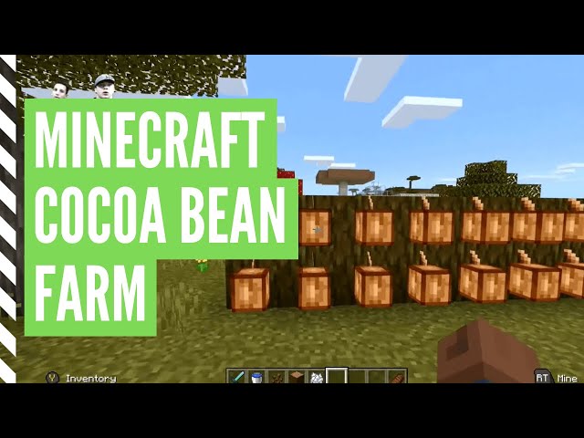 How to make Cocoa beans in Minecraft