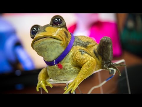 Real-Life Futurama Hypnotoad Animatronic! - UCiDJtJKMICpb9B1qf7qjEOA