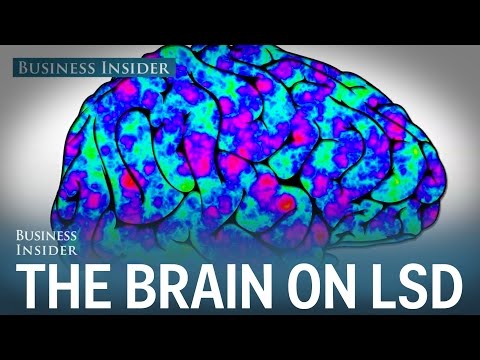 Here’s what happens to the human brain on LSD - UCcyq283he07B7_KUX07mmtA