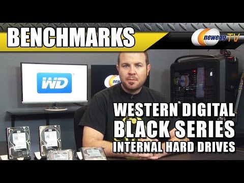 WD BLACK SERIES 7200 RPM 3.5" Internal Hard Drive Overview & Benchmarks - Newegg TV - UCJ1rSlahM7TYWGxEscL0g7Q