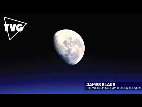 James Blake - The Wilhelm Scream (Flybear Cover) - UCouV5on9oauLTYF-gYhziIQ