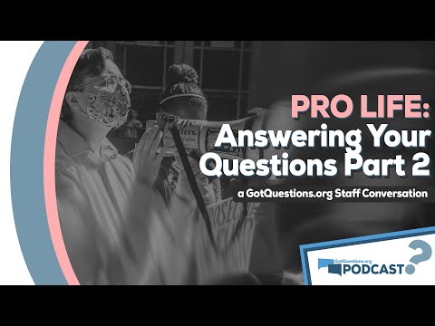 What does it mean to be pro-life? How can I do more to promote life? - Podcast Episode 103, Part 2
