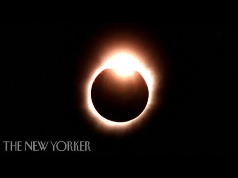 How We Will React to the 2017 Total Solar Eclipse | The New Yorker - UCsD-Qms-AkXDrsU962OicLw