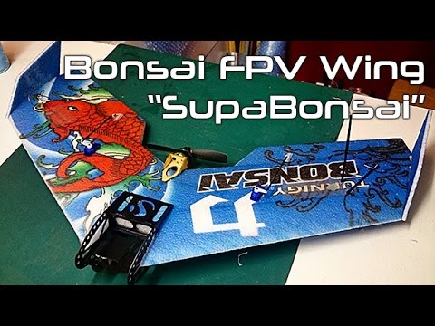 Bonsai EPP Flying Wing | Red20RC FPV modification - UCg2B7U8tWL4AoQZ9fyFJyVg