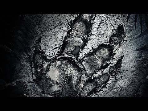IGN Live Presents: Evolve Interactive Stream - Monday Feb 9th, 2015 @ 11:00AM PST - UCKy1dAqELo0zrOtPkf0eTMw