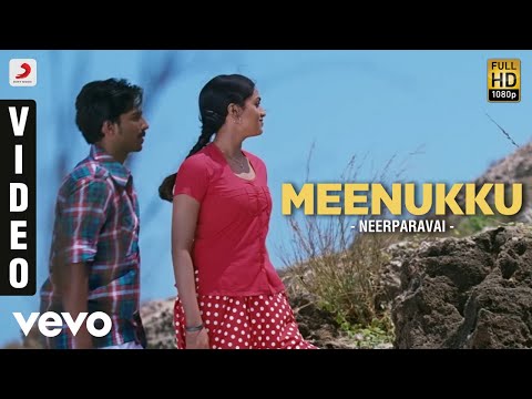 Neerparavai - Meenukku Video | N.R. Raghunanthan - UCTNtRdBAiZtHP9w7JinzfUg