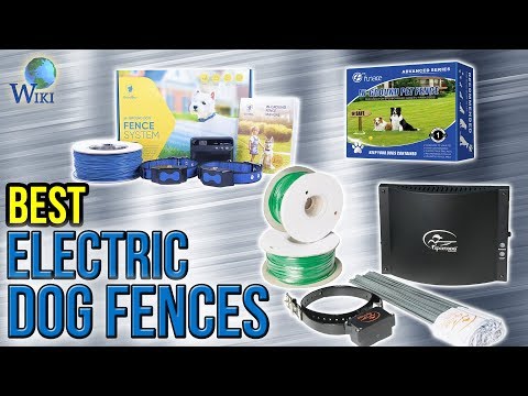 8 Best Electric Dog Fences 2017 - UCXAHpX2xDhmjqtA-ANgsGmw