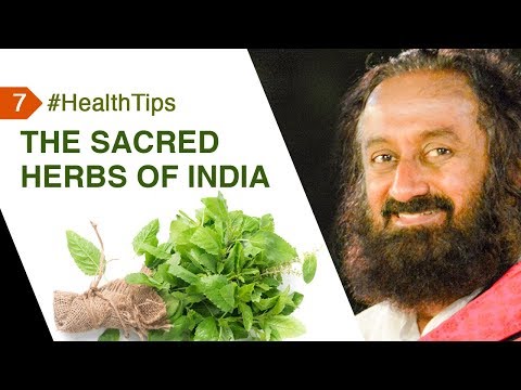 WATCH #Health | How The Sacred Herbs Of India BENEFIT Us #Spiritual #Tips #Gurudev