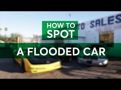 Flooded Cars: How to Spot One Before You Buy | Consumer Reports - UCOClvgLYa7g75eIaTdwj_vg