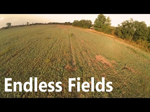 ZMR 250 - Endless Fields - UCrHe3NKMlyZN1zPm7bEK8TA