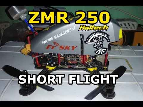 ZMR 250 - Short Flight - Video Signal Interference - UCXDPCm6CxZ3GzSrx2VDSMJw