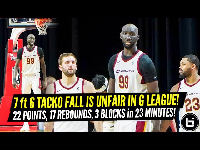 Tacko Fall: The NBA’s Newest Sensation