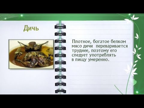 Кулинарная энциклопедия - Дичь - UC7XBjhXnmmXFsxmnys9PmDQ