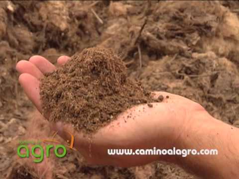 Cómo producir Compostaje eficientemente - TvAgro por Juan Gonzalo Angel - UCzW1r6IO7r8C2RPLZrD5lwA