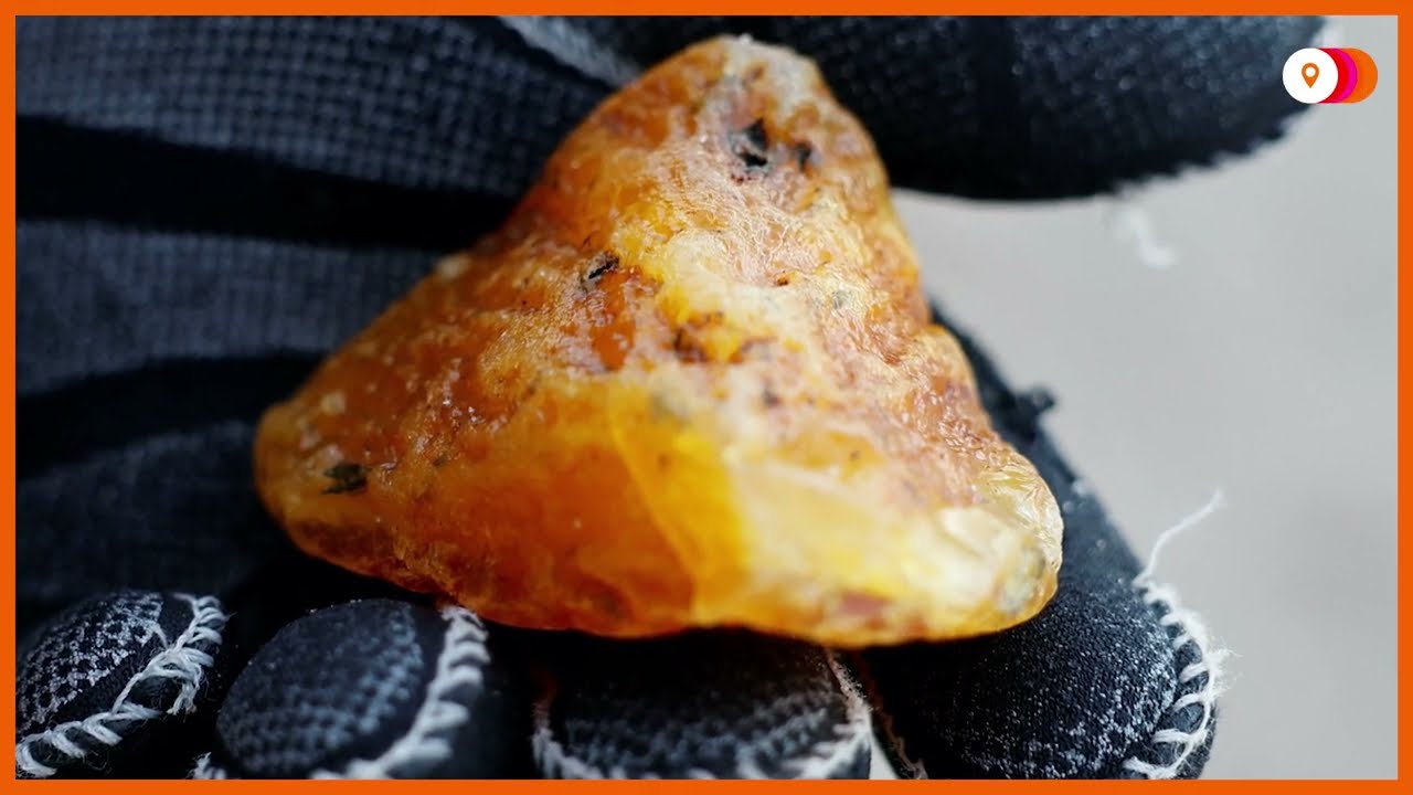 Slideshow: Hunting amber in the Baltic Sea