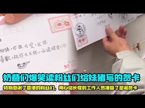 12月26日大良和主播读每一封粉丝给妹猪写的信，搞笑场面，满满祝福#大熊猫妹猪 #妹猪 #cutepanda #萌宠 #giantpanda #大熊猫