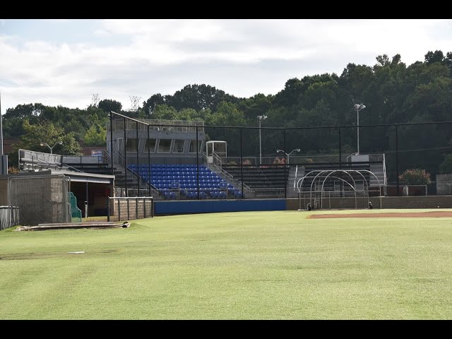 Dyersburg State Baseball Team is a Must-See