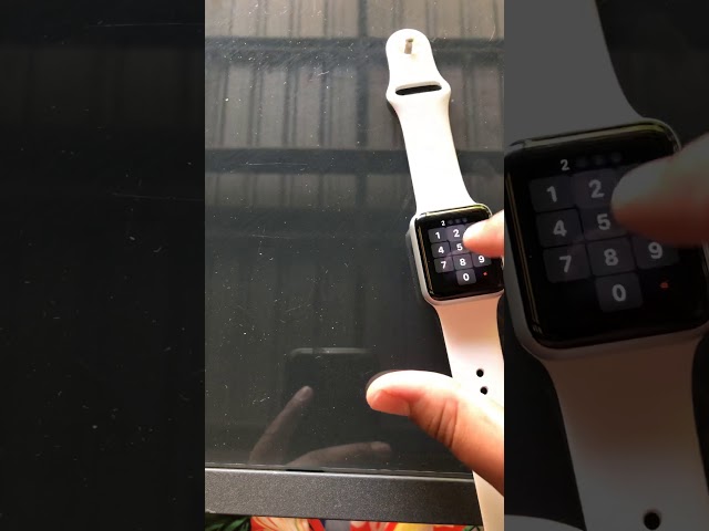 How To Set Wallpaper On Apple Watch Series 3?