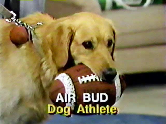 Air Bud: The Hockey-Playing Dog