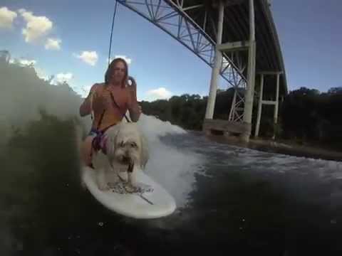 Saffy the dog wakesurfing - UCTs-d2DgyuJVRICivxe2Ktg