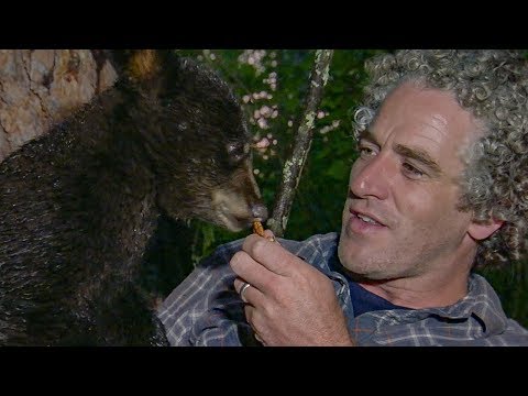 Helping Hope the Bear Cub survive in the forest | BBC Earth - UCwmZiChSryoWQCZMIQezgTg