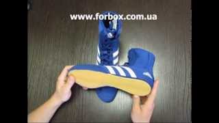 Боксерки Adidas Box Hog 2 (G64502, синие)