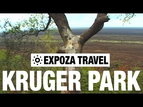 Kruger National Park Vacation Travel Video Guide - UC3o_gaqvLoPSRVMc2GmkDrg