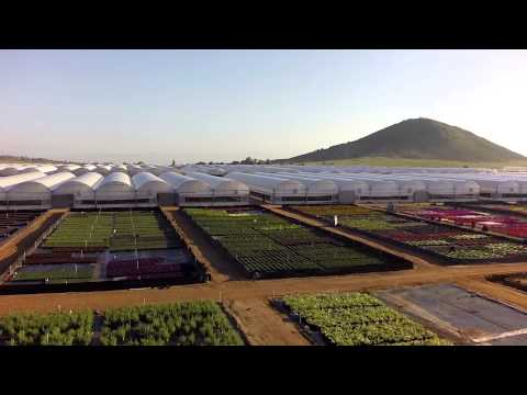 Altman Plants Nursery - FPV Quadcopter - UCgRJ_Eh6Fqnn78PtUKu90jA