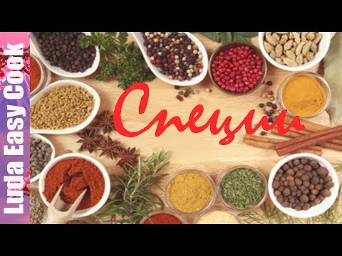 ОБЗОР СПЕЦИЙ и ПРЯНОСТЕЙ на МОЕЙ КУХНЕ / SPICES AND HERBS‎ - UCwZ6TJuh2PsR83k5PkkQx4A