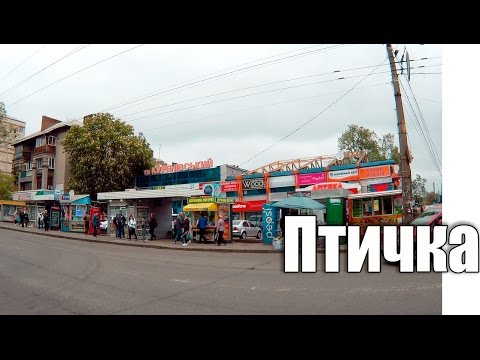 Поле чудес в стране Дураков - UCu8-B3IZia7BnjfWic46R_g