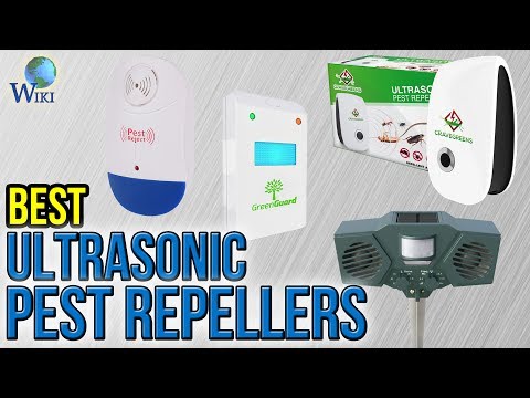 10 Best Ultrasonic Pest Repellers 2017 - UCXAHpX2xDhmjqtA-ANgsGmw