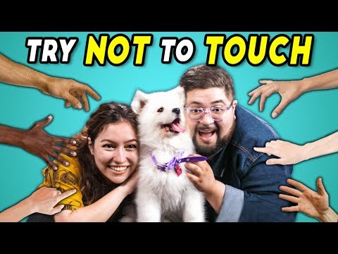 Try Not To Touch Challenge #2 (React) - UCHEf6T_gVq4tlW5i91ESiWg