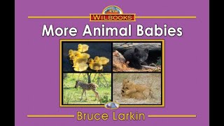 More Animal Babies 
