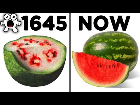 Top 10 Foods That Originally Looked Totally Different - UCkQO3QsgTpNTsOw6ujimT5Q