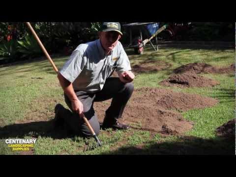 Top Dressing and Top Soiling your Lawn