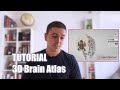 Image of the cover of the video;¿Sabes cómo es tu cerebro? Aprende Neuroanatomía con 3D Brain Atlas - Neurotorium
