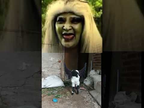 nada dering mak lampir bikin merindig
