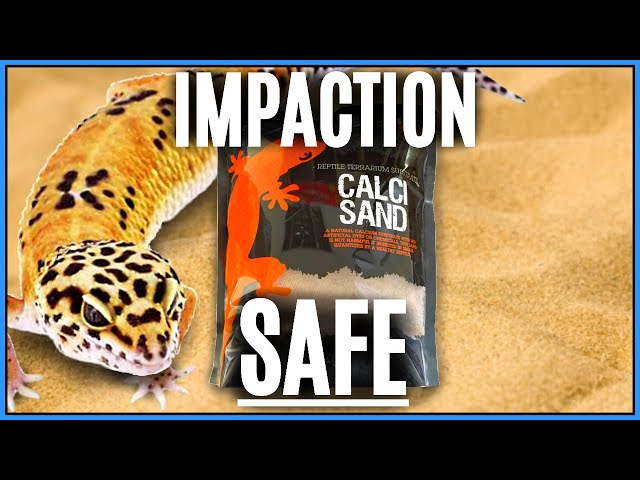 Is Calcium Sand Good For Leopard Geckos?