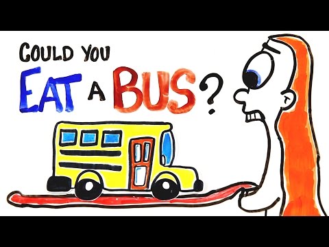 Can You Actually Eat A Bus? - UCC552Sd-3nyi_tk2BudLUzA