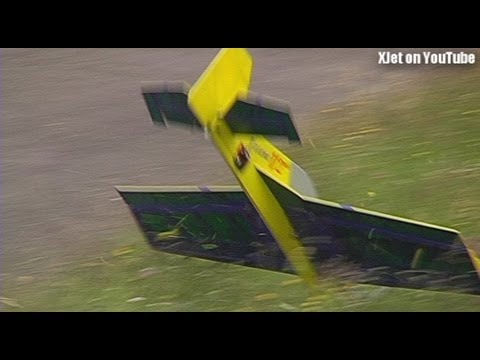 RC plane versus large raptor at the SWMAC - UCQ2sg7vS7JkxKwtZuFZzn-g