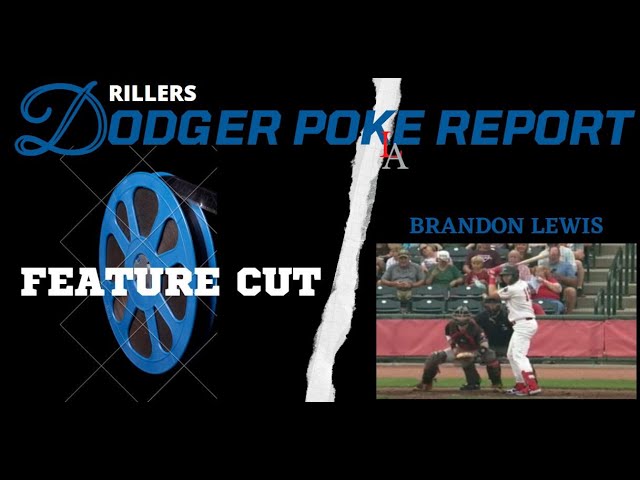 Brandon Lewis: A Baseball Journey