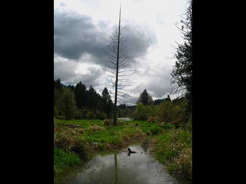 Katatonia - Clean Today