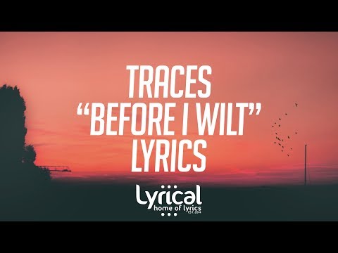 TRACES - Before I Wilt Lyrics - UCnQ9vhG-1cBieeqnyuZO-eQ