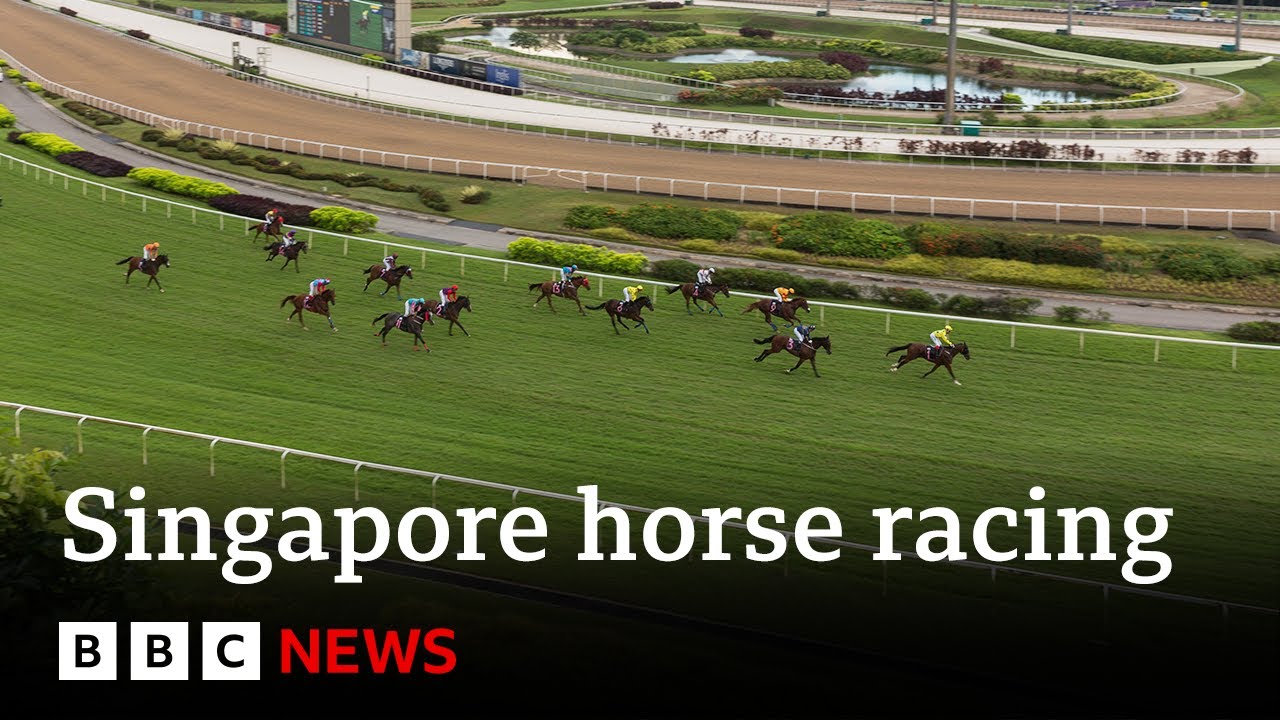 Singapore to hold final horse race after more than 180 years – BBC News
