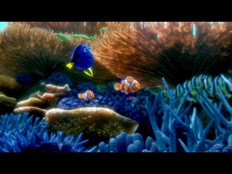 You've Found the Latest 'Finding Dory' Trailer - UCp0hYYBW6IMayGgR-WeoCvQ