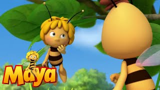 The Outsider - Maya the Bee - Episode 66