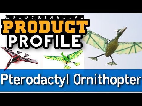 Product Profile - Pterodactyl Ornithopter EPP Composite PNF - HobbyKing Live - UCkNMDHVq-_6aJEh2uRBbRmw