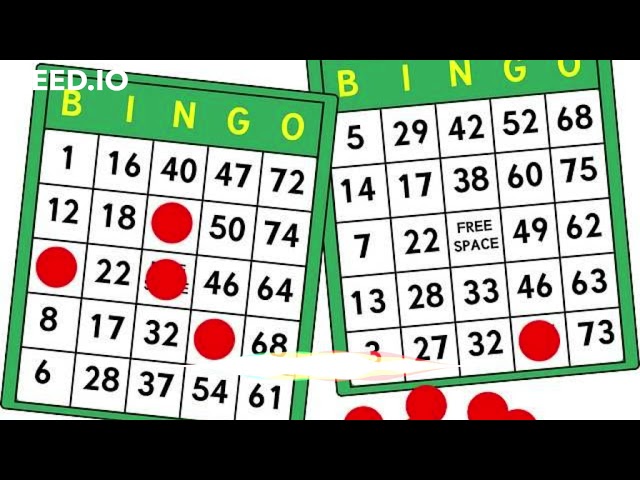 What Does It Mean To Dream About Bingo?