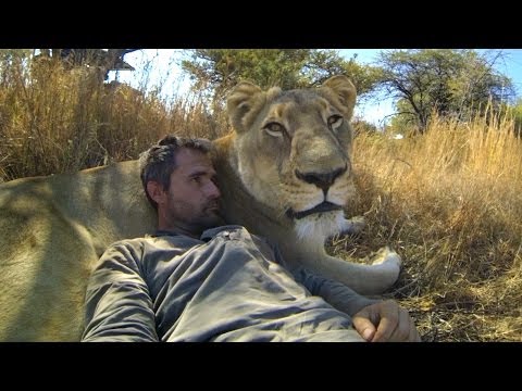 GoPro: Lions - The New Endangered Species? - UCqhnX4jA0A5paNd1v-zEysw